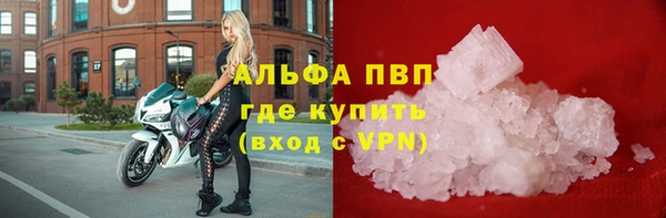спиды Алзамай