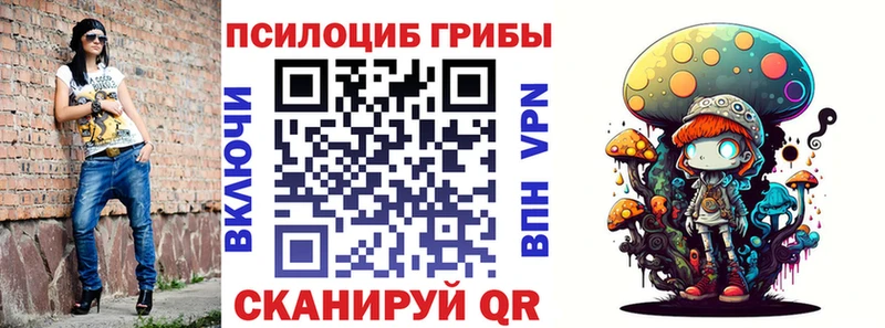 Псилоцибиновые грибы Psilocybine cubensis  Берёзовка 